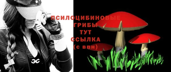 эйфоретик Надым