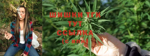эйфоретик Надым