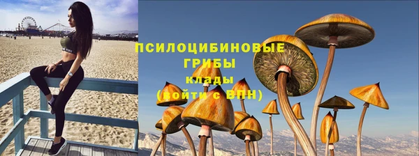 2c-b Нефтегорск