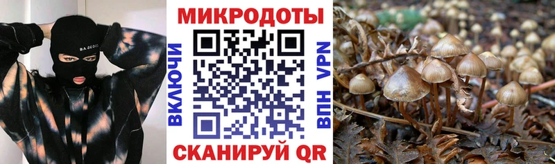 Купить закладки  Сокол  Псилоцибиновые грибы ЛСД 